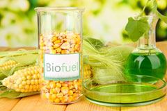 Stokeinteignhead biofuel availability
