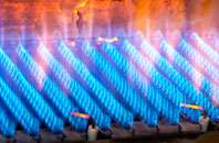 Stokeinteignhead gas fired boilers